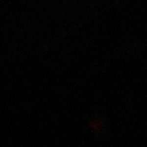 Meet your Posher, Genieve